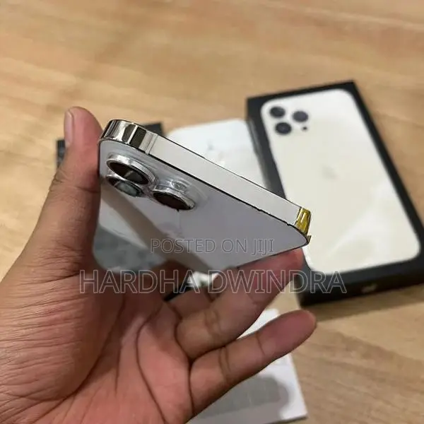 Apple iPhone 13 Pro Max (Used)