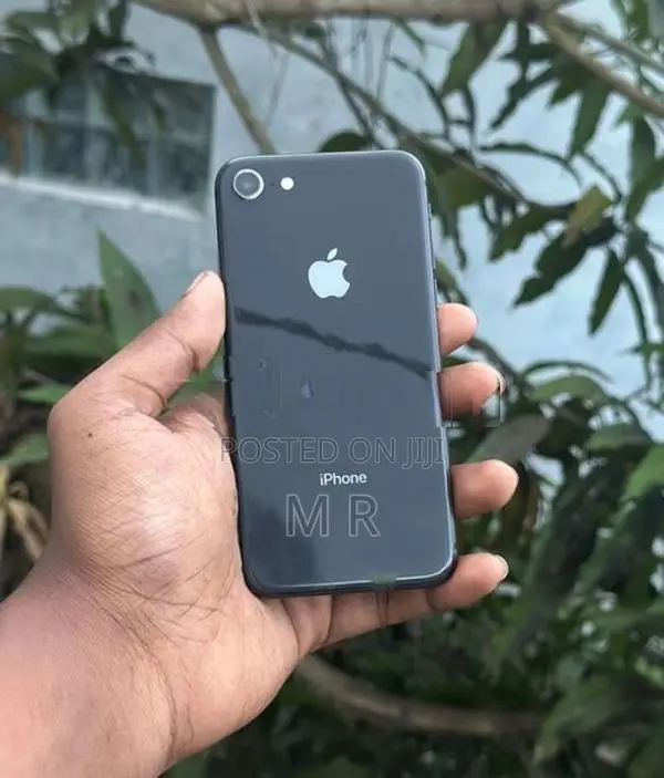 Apple iPhone 8 (Used)