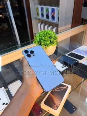 Apple iPhone 13 Pro Max (Used)