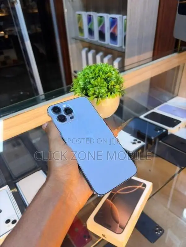 Apple iPhone 13 Pro Max (Used)