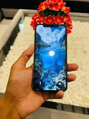 Apple iPhone 12 Pro (Used)