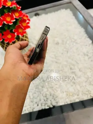 Apple iPhone 12 Pro (Used)