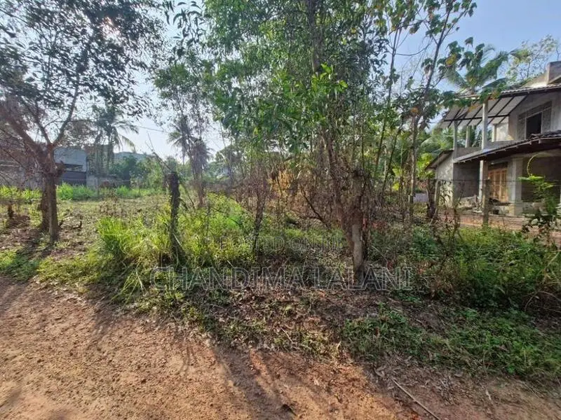 Land for Sale in Gampaha