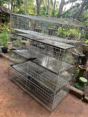 Breeding Bird Cage