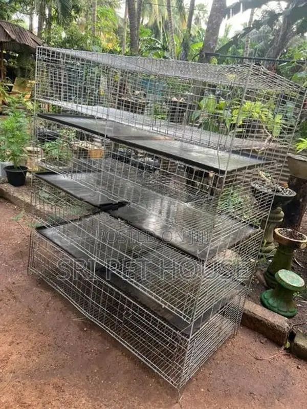 Breeding Bird Cage