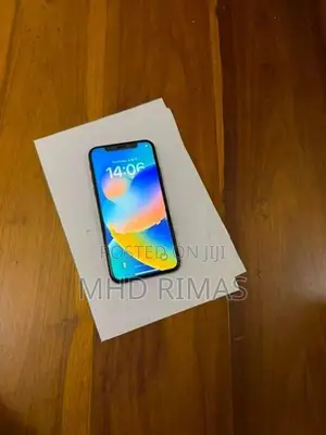 Apple iPhone X (Used)