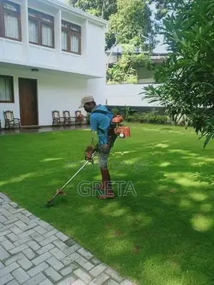 Malaysian Grass Laying