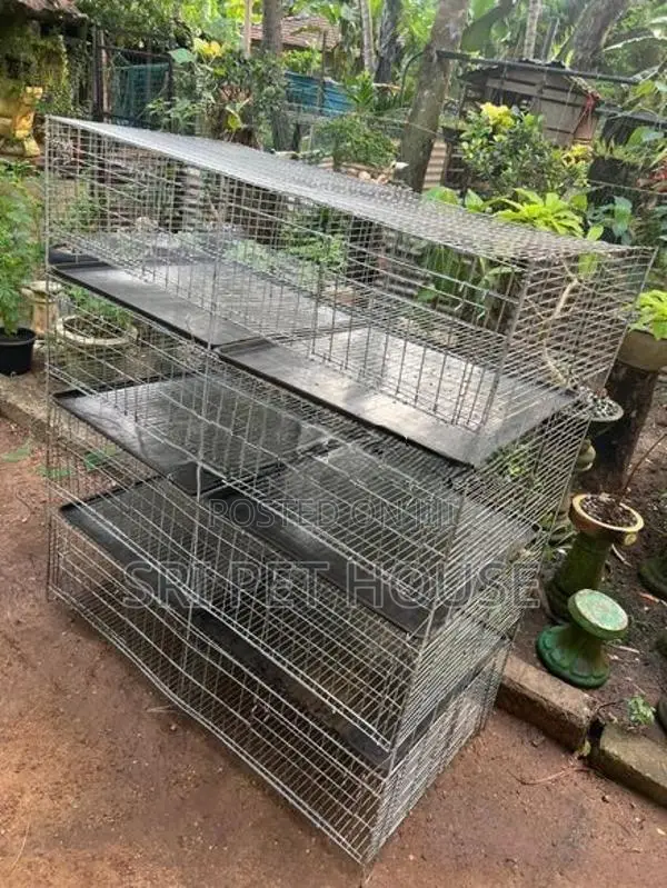 Breeding Bird Cage