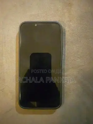 Apple iPhone 13 Pro Max (Used)