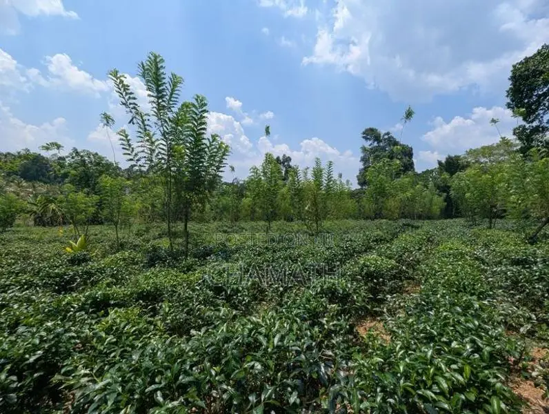 Land for Sale Padukka Town