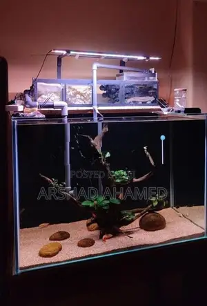 Fish Tank Full Set
