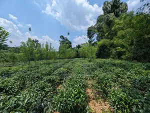 Land for Sale Padukka Town