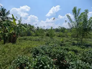 Land for Sale Padukka Town