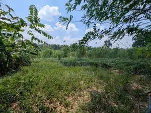 Land for Sale Padukka Town