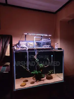 Fish Tank Full Set