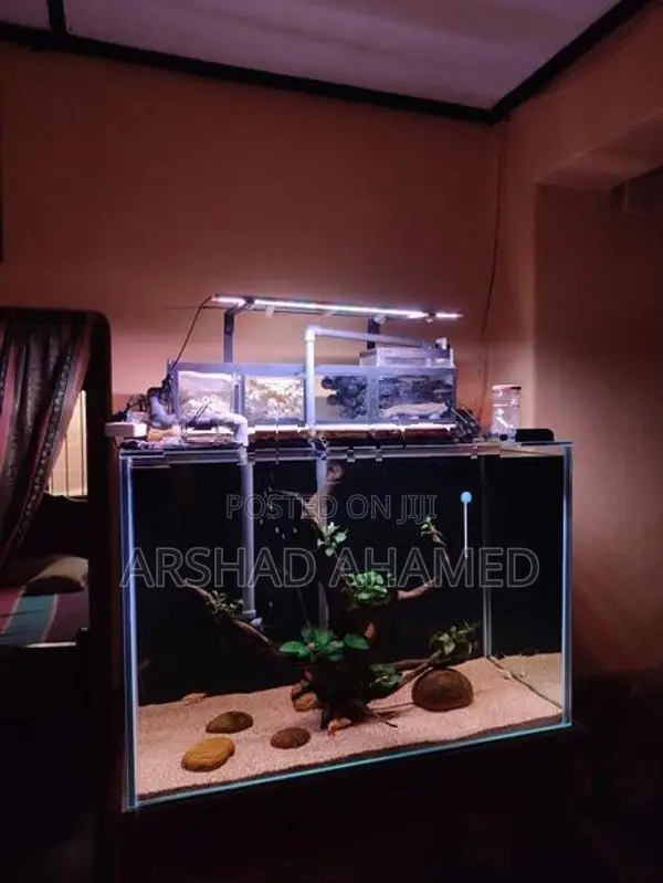 Fish Tank Full Set