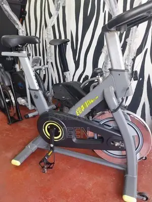 Spin Bike - South Korean