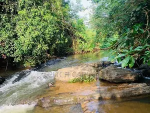 Hadapangoda මාවක් ඔයට මුහුණලා විකිණීමට අගනා බිම් කොටස් කිපයක්
