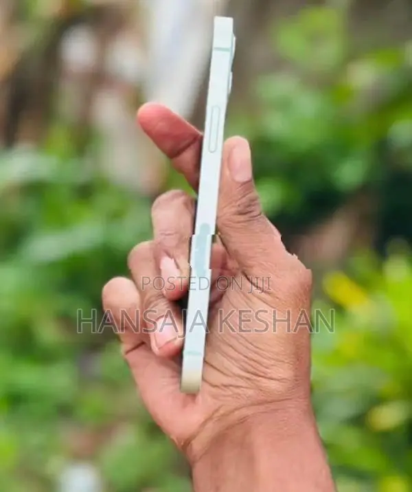 Apple iPhone 12 (Used)