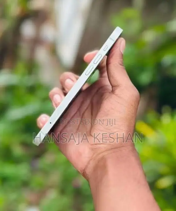 Apple iPhone 12 (Used)