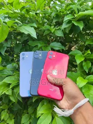 Apple iPhone 11 (Used)