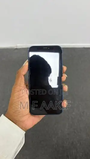 Apple iPhone 12 (Used)