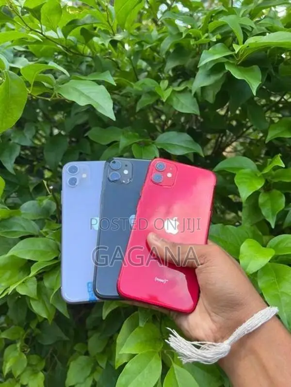 Apple iPhone 11 (Used)