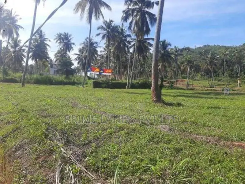 නාරම්මල ටවුමට විනාඩි 5 දුරින් පදිංචියට කියාපු ඉඩමක්