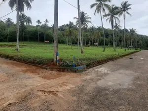 නාරම්මල ටවුමට විනාඩි 5 දුරින් පදිංචියට කියාපු ඉඩමක්
