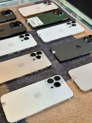 Apple iPhone 13 Pro 256GB (Used)