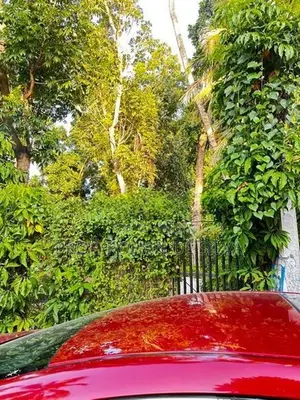 Land for Sale in Ekala