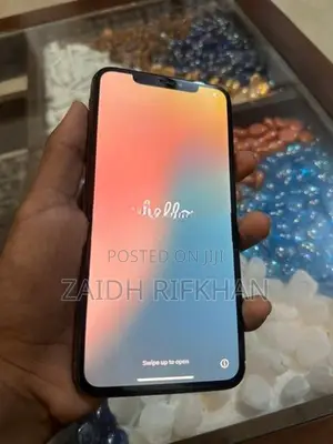 Apple iPhone XS Max 256GB (Used)
