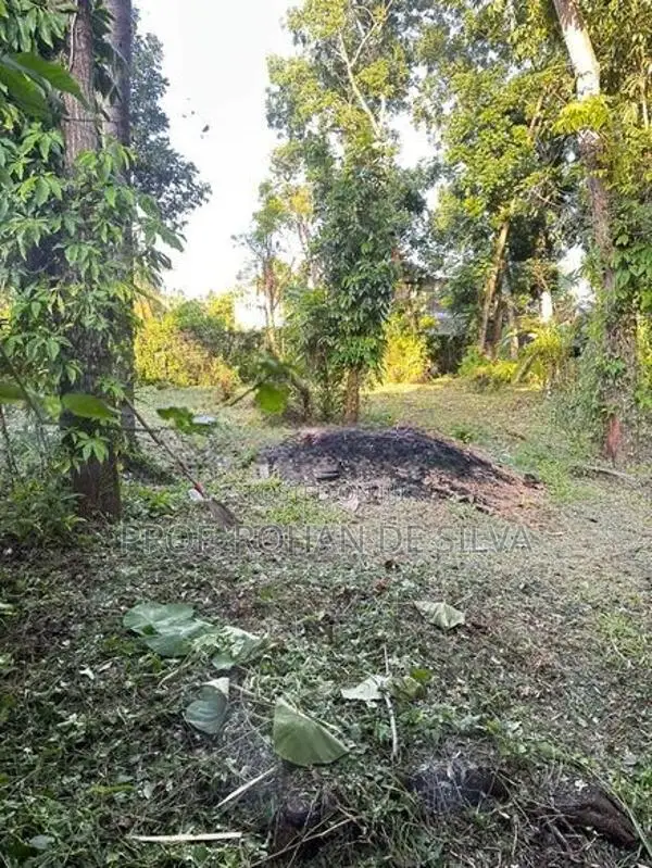 Land for Sale in Ekala