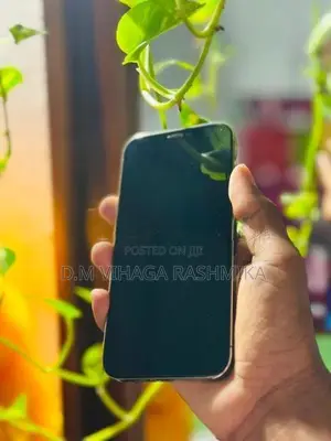 Apple iPhone 12 Pro (Used)