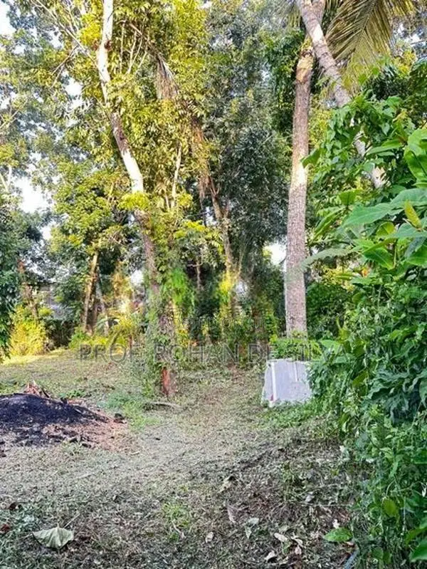 Land for Sale in Ekala