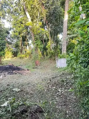 Land for Sale in Ekala