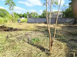 Land for Sale Near Dambulla Town