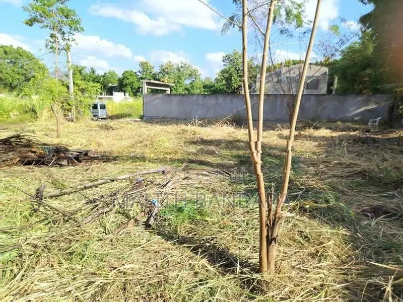 Land for Sale Near Dambulla Town