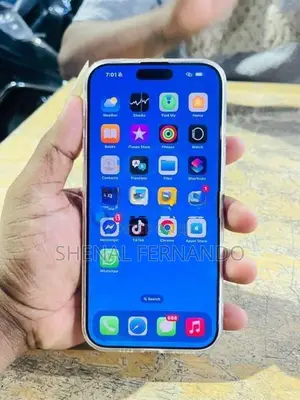 Apple iPhone 16 Pro Max (Used)