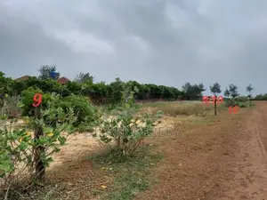 Beach Front Land to Sell in Arugambay