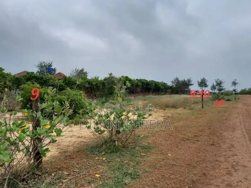 Beach Front Land to Sell in Arugambay