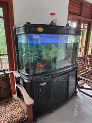 Fish Tank