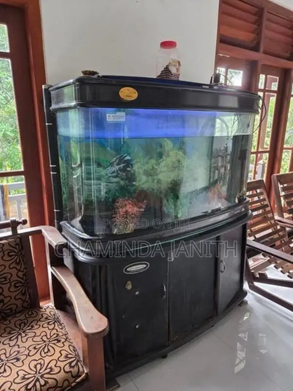 Fish Tank
