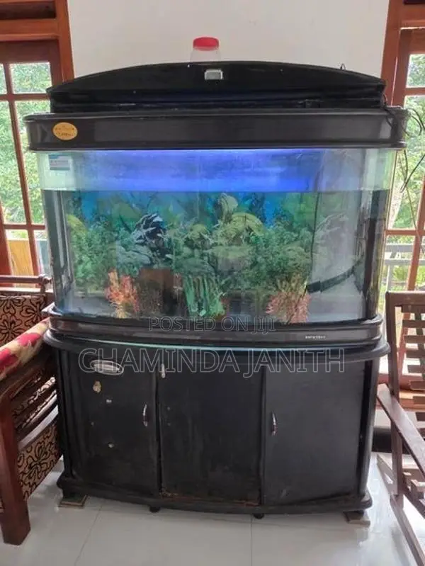 Fish Tank