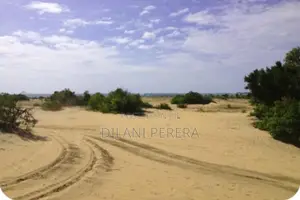 Beach Front Land to Sell in Arugambay