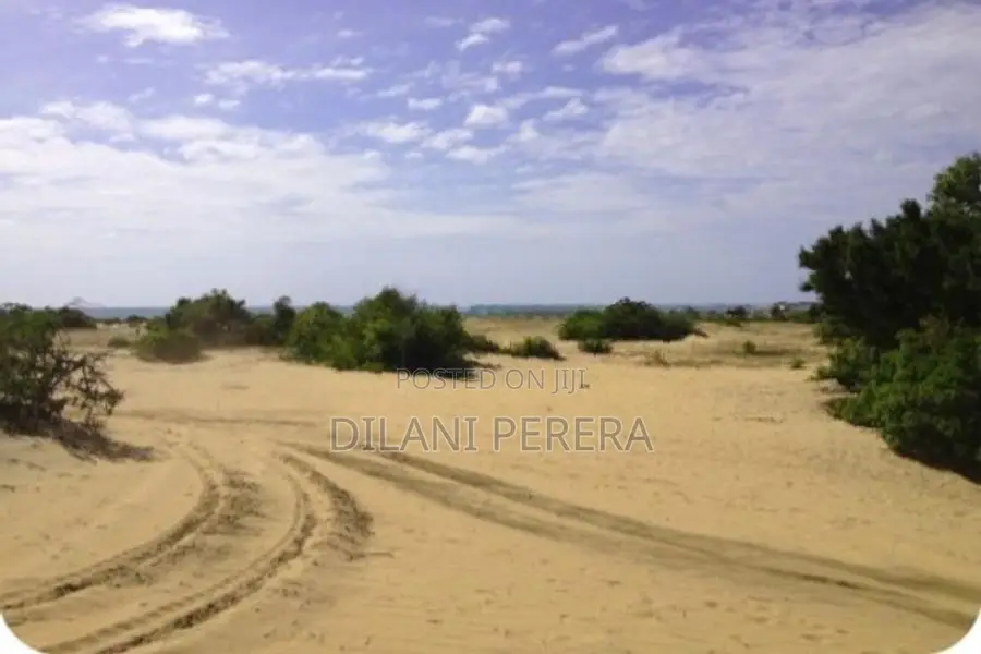 Beach Front Land to Sell in Arugambay