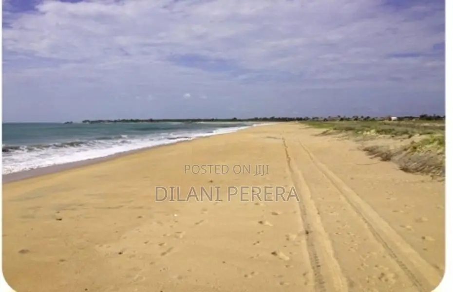 Beach Front Land to Sell in Arugambay