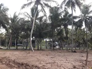 අනුරාධපුර කුරුණෑගල ප්‍රධාන පාරෙන් ඉඩමක් විකිණීමට