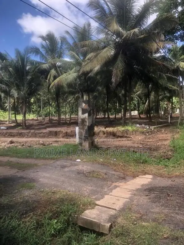 අනුරාධපුර කුරුණෑගල ප්‍රධාන පාරෙන් ඉඩමක් විකිණීමට