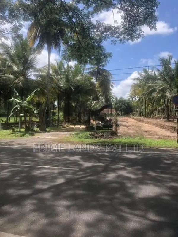 අනුරාධපුර කුරුණෑගල ප්‍රධාන පාරෙන් ඉඩමක් විකිණීමට